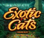 Microgaming gokkast: Exotic Cats logo in gouden letters met jungle achtergrond