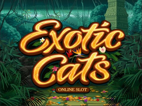 Microgaming gokkast: Exotic Cats logo in gouden letters met jungle achtergrond